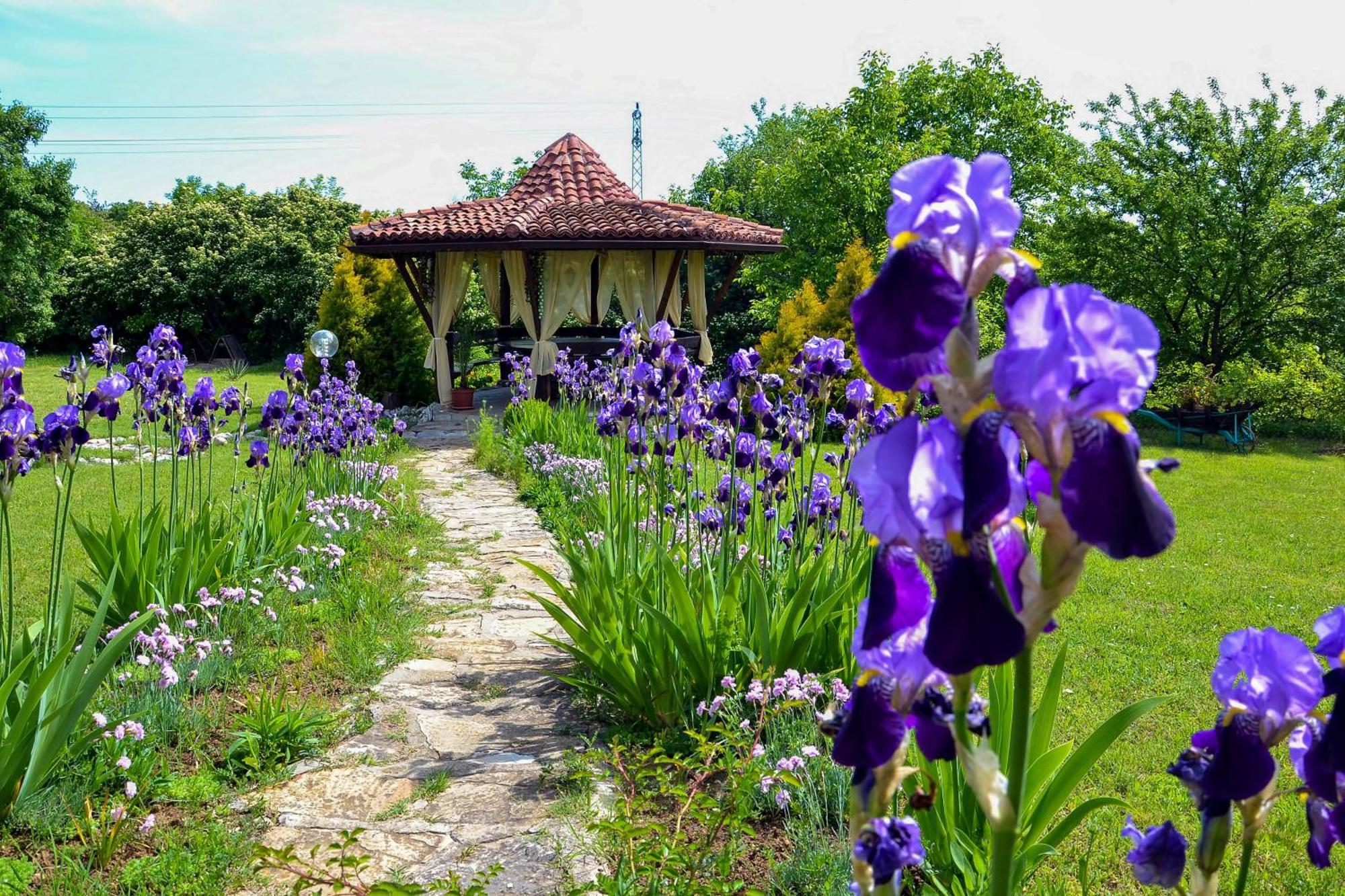Park Hotel Djevana Gorna Oryahovitsa Bagian luar foto